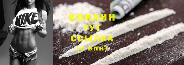 стафф Аркадак