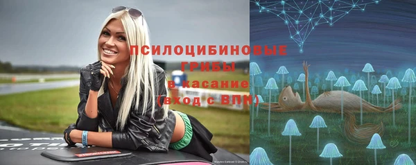 мет Армянск