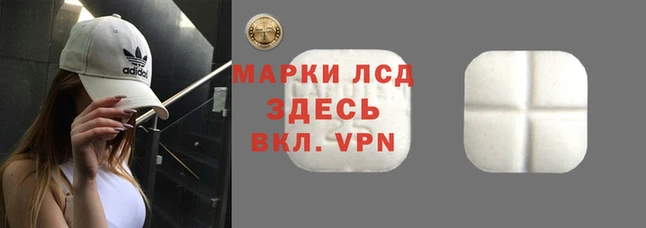 стафф Аркадак