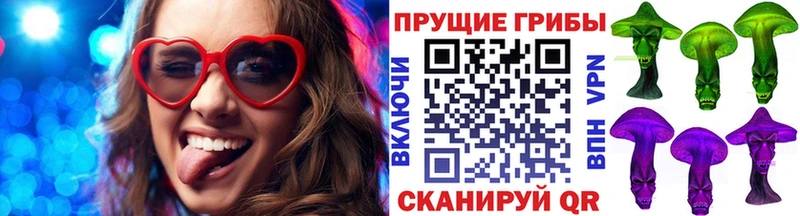 Псилоцибиновые грибы Psilocybe  Усинск 